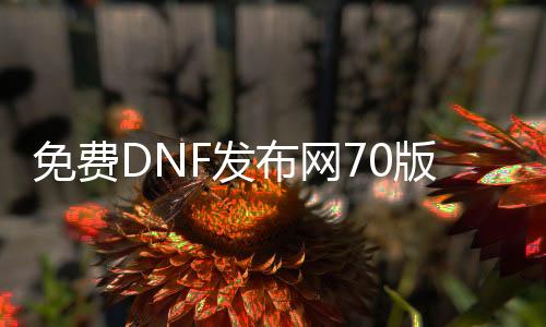 免费DNF发布网70版本