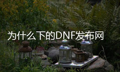 为什么下的DNF发布网进不了