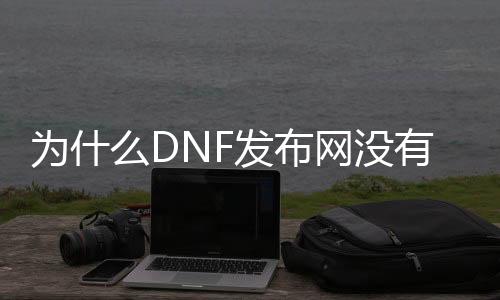为什么DNF发布网没有奶妈（dnf为什么不把奶当大号玩）