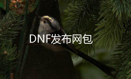 DNF发布网包