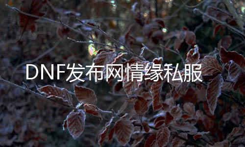 DNF发布网情缘私服