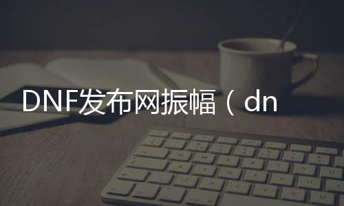 DNF发布网振幅（dnf振幅16多少钱）