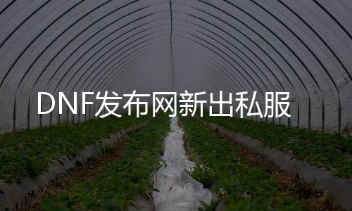 DNF发布网新出私服