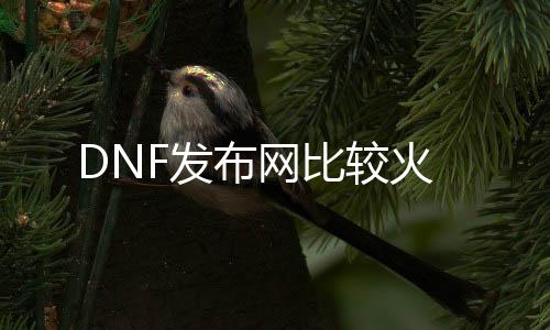 DNF发布网比较火