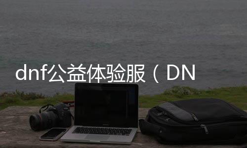 dnf公益体验服（DNF发布网公益服发布网）