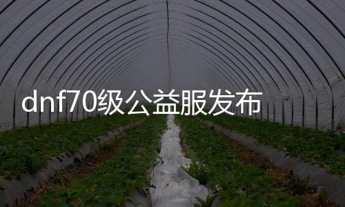 dnf70级公益服发布网漏洞有哪些,如何利用dnf70级公益服发布网漏洞